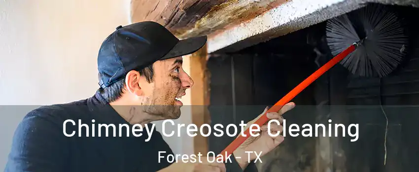 Chimney Creosote Cleaning Forest Oak - TX