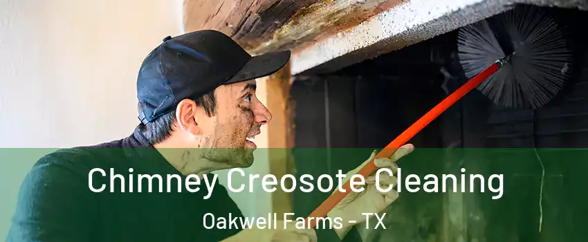 Chimney Creosote Cleaning Oakwell Farms - TX