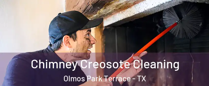 Chimney Creosote Cleaning Olmos Park Terrace - TX