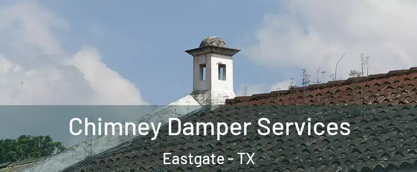 Chimney Damper Services Eastgate - TX