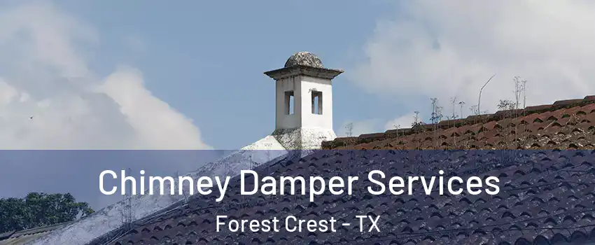 Chimney Damper Services Forest Crest - TX