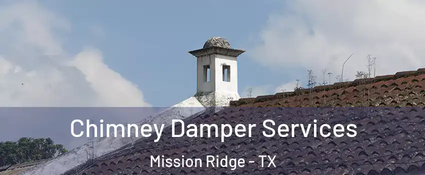 Chimney Damper Services Mission Ridge - TX