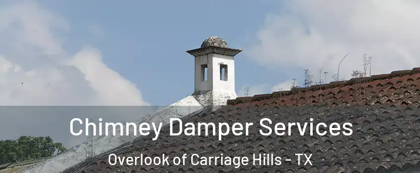 Chimney Damper Services Overlook of Carriage Hills - TX