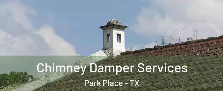 Chimney Damper Services Park Place - TX