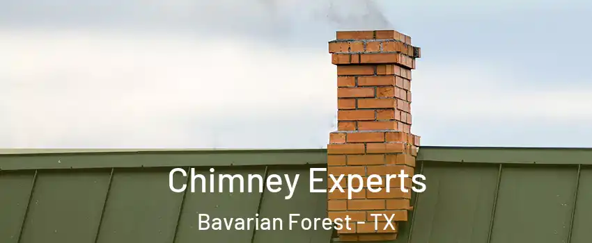 Chimney Experts Bavarian Forest - TX