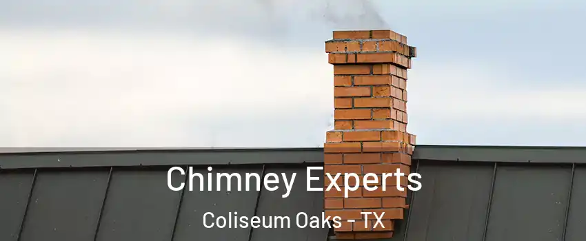 Chimney Experts Coliseum Oaks - TX