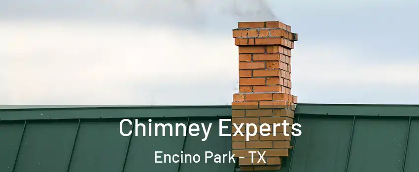 Chimney Experts Encino Park - TX