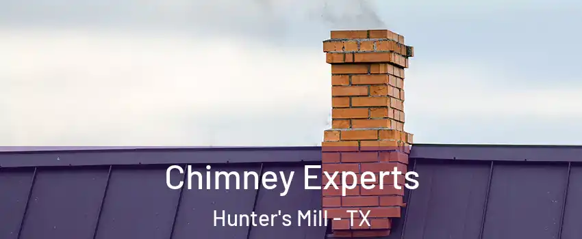 Chimney Experts Hunter's Mill - TX