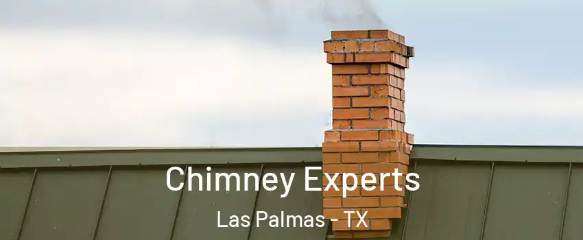 Chimney Experts Las Palmas - TX