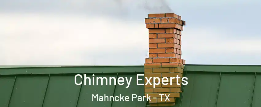Chimney Experts Mahncke Park - TX