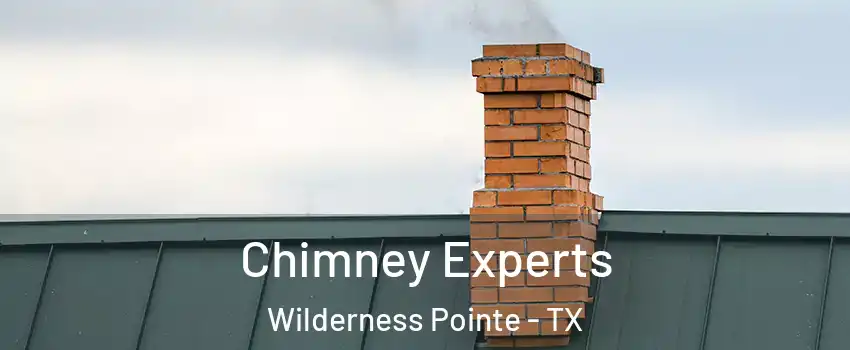 Chimney Experts Wilderness Pointe - TX