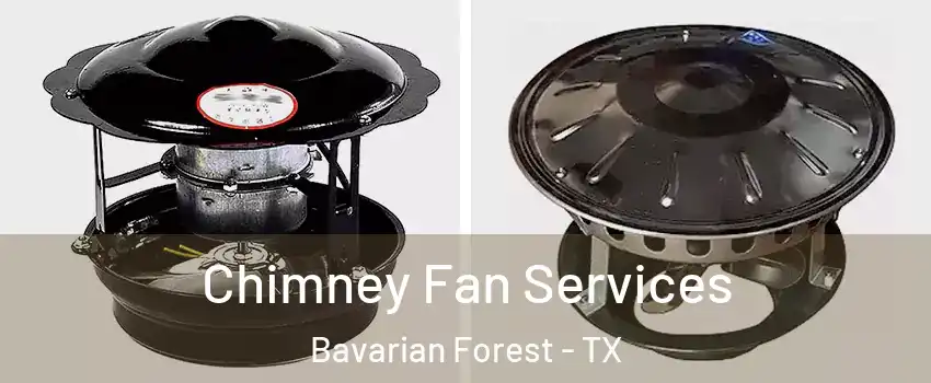 Chimney Fan Services Bavarian Forest - TX