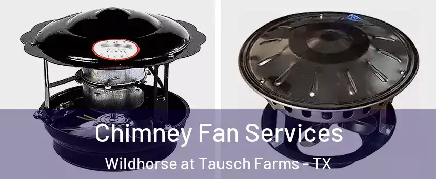 Chimney Fan Services Wildhorse at Tausch Farms - TX