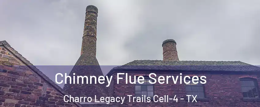 Chimney Flue Services Charro Legacy Trails Cell-4 - TX