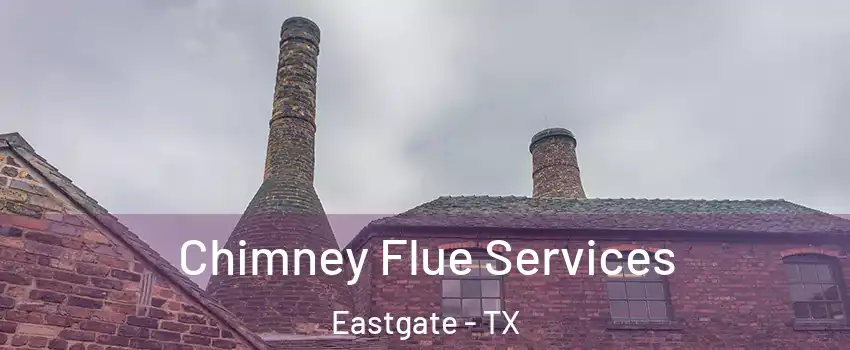 Chimney Flue Services Eastgate - TX