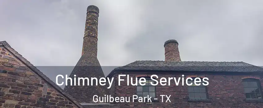 Chimney Flue Services Guilbeau Park - TX