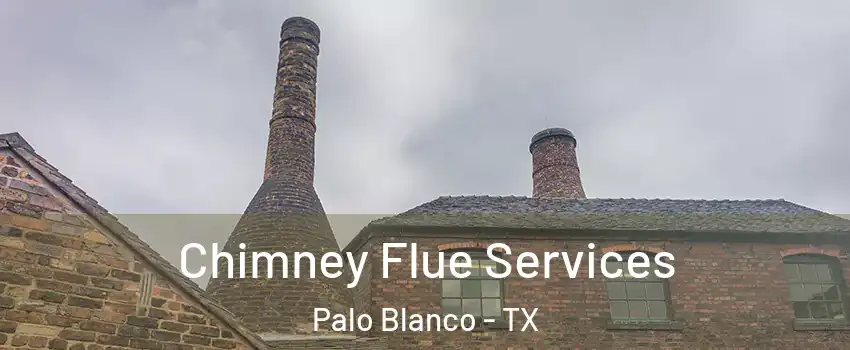 Chimney Flue Services Palo Blanco - TX