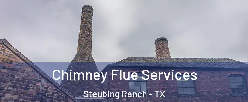 Chimney Flue Services Steubing Ranch - TX
