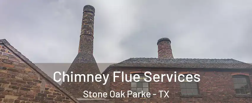 Chimney Flue Services Stone Oak Parke - TX
