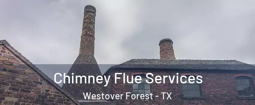 Chimney Flue Services Westover Forest - TX