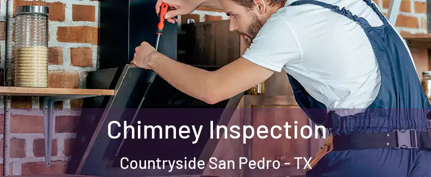 Chimney Inspection Countryside San Pedro - TX