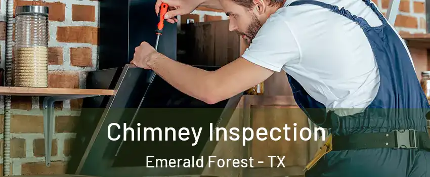 Chimney Inspection Emerald Forest - TX
