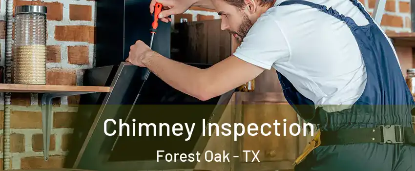 Chimney Inspection Forest Oak - TX