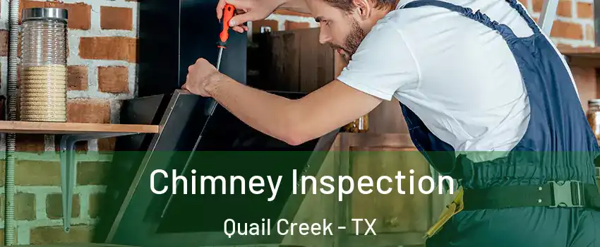Chimney Inspection Quail Creek - TX