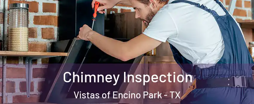 Chimney Inspection Vistas of Encino Park - TX