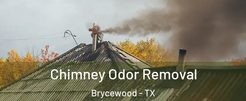 Chimney Odor Removal Brycewood - TX