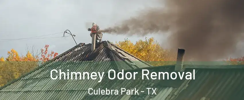 Chimney Odor Removal Culebra Park - TX