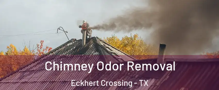 Chimney Odor Removal Eckhert Crossing - TX