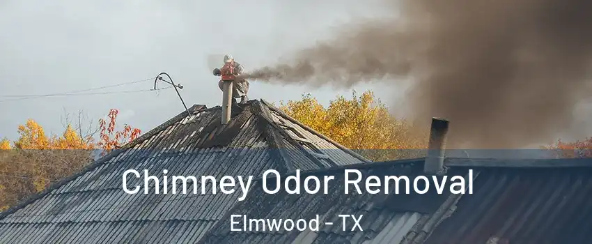 Chimney Odor Removal Elmwood - TX