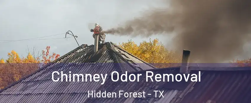 Chimney Odor Removal Hidden Forest - TX