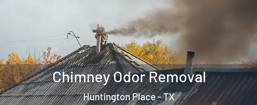 Chimney Odor Removal Huntington Place - TX