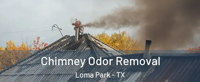Chimney Odor Removal Loma Park - TX
