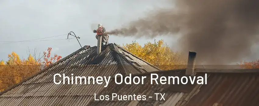 Chimney Odor Removal Los Puentes - TX