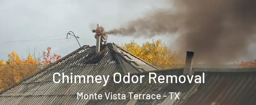 Chimney Odor Removal Monte Vista Terrace - TX