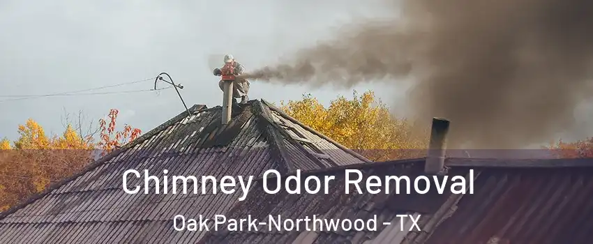 Chimney Odor Removal Oak Park-Northwood - TX