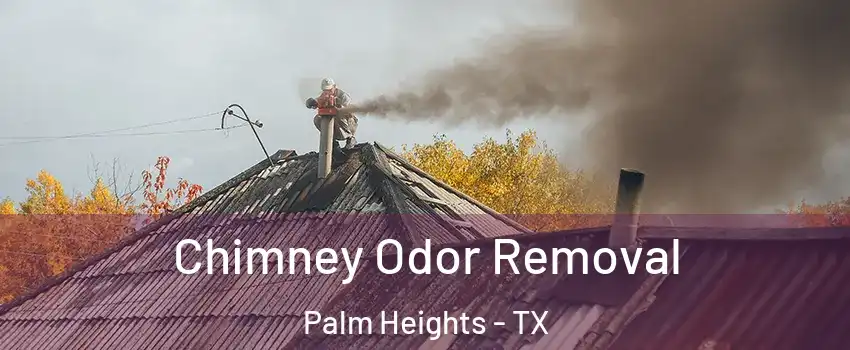 Chimney Odor Removal Palm Heights - TX