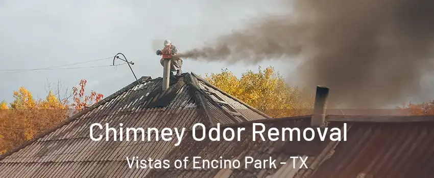Chimney Odor Removal Vistas of Encino Park - TX