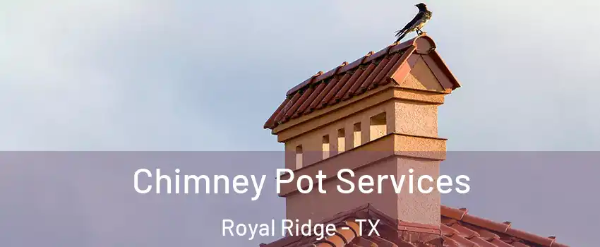 Chimney Pot Services Royal Ridge - TX