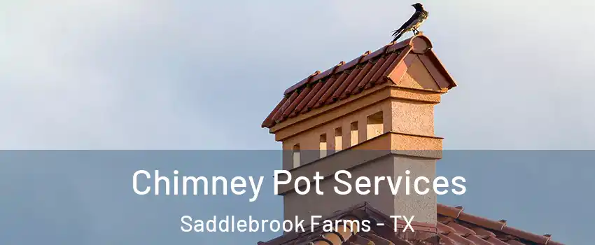 Chimney Pot Services Saddlebrook Farms - TX