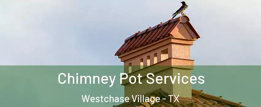 Chimney Pot Services Westchase Village - TX