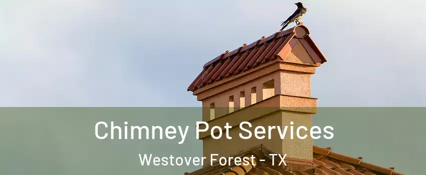 Chimney Pot Services Westover Forest - TX