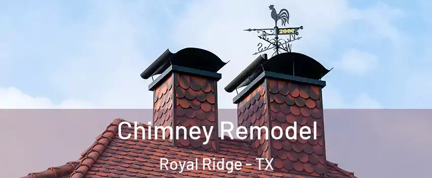 Chimney Remodel Royal Ridge - TX