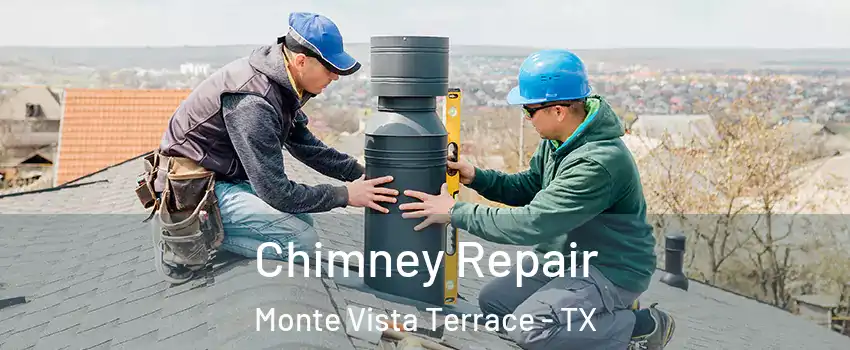 Chimney Repair Monte Vista Terrace - TX