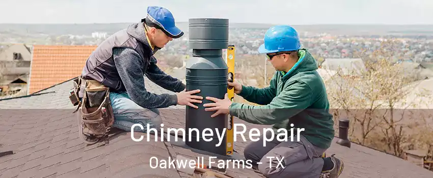 Chimney Repair Oakwell Farms - TX