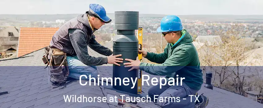 Chimney Repair Wildhorse at Tausch Farms - TX