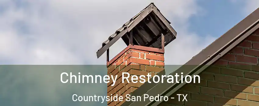 Chimney Restoration Countryside San Pedro - TX